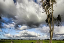 WELLBET官网:一日英超动向:瓜迪奥拉还要买新边锋?拉什福德转会问题难题很多.