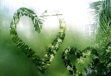 WELLBET官网:速滑世界杯波兰站:中国队再获一银一铜.